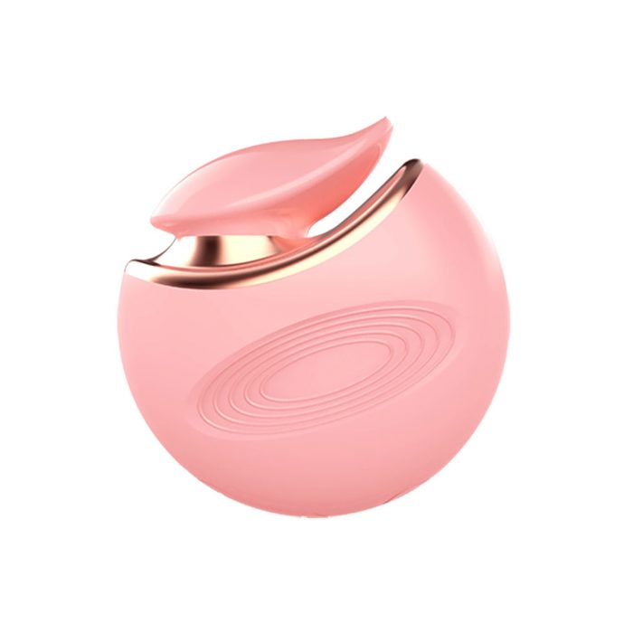 Vibrating Egg Vibrator Massager Jumping Egg Sex Toy for Women VE120