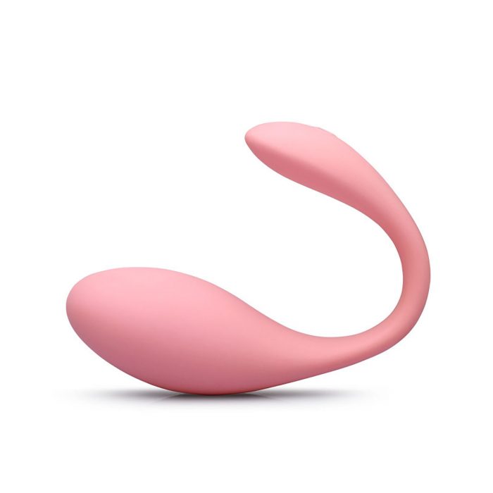 Vibrating Egg Vibrator Massager Jumping Egg Sex Toy for Women VE123 - Image 2
