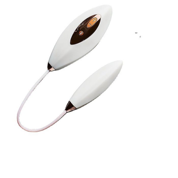 Vibrating Egg Vibrator Massager Jumping Egg Sex Toy for Women VE119