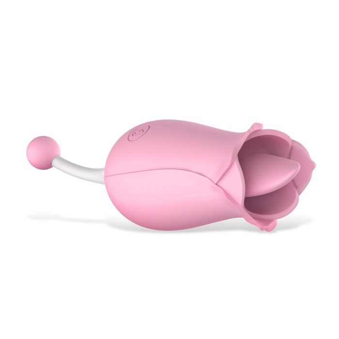 Vibrating Egg Vibrator Massager Jumping Egg Sex Toy for Women VE111