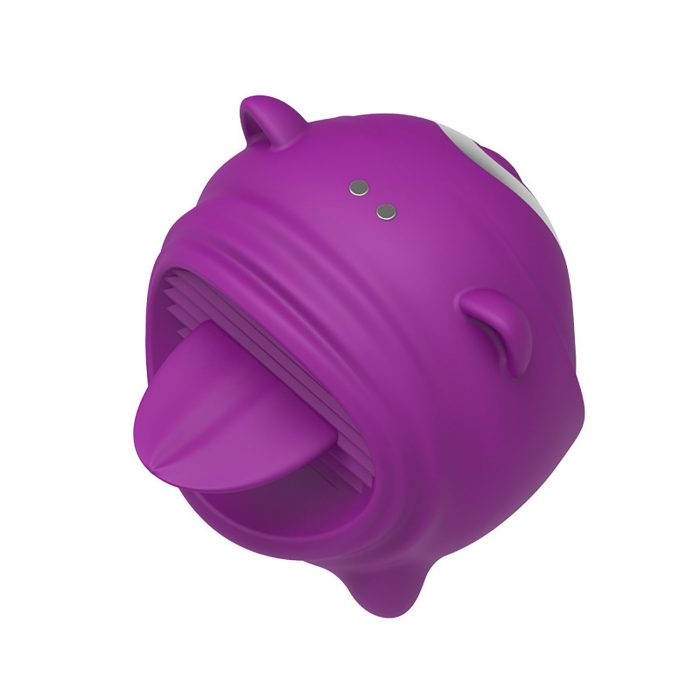 Sucking Vibrator Massager Sex Toy for Women SM101
