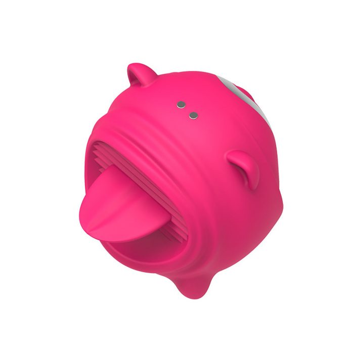 Sucking Vibrator Massager Sex Toy for Women SM101 - Image 2